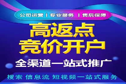 谷歌竞价案例：快速提升品牌影响力的广告策略